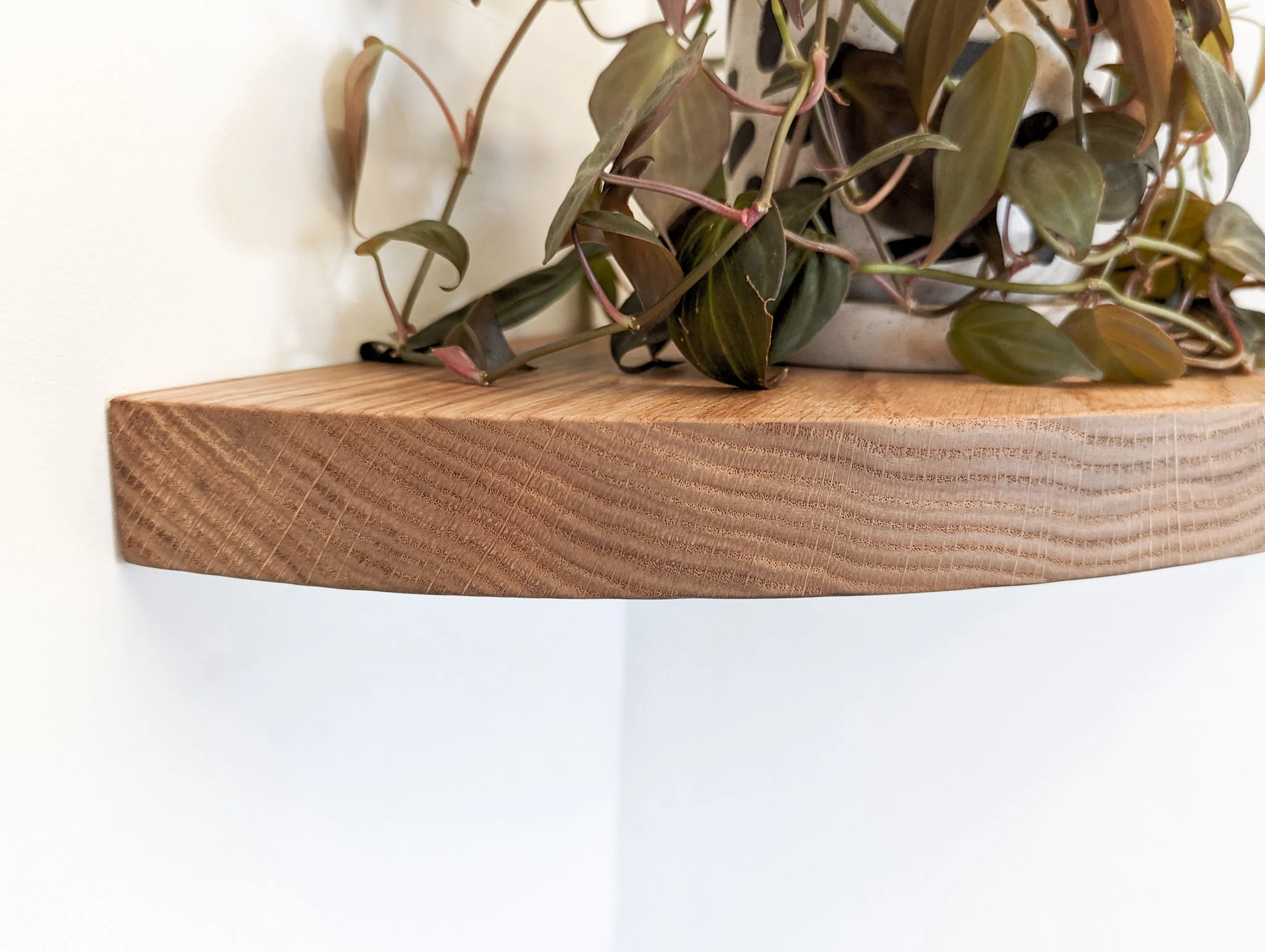 Floating Corner Shelf with Round Edge in Oak - Image 4