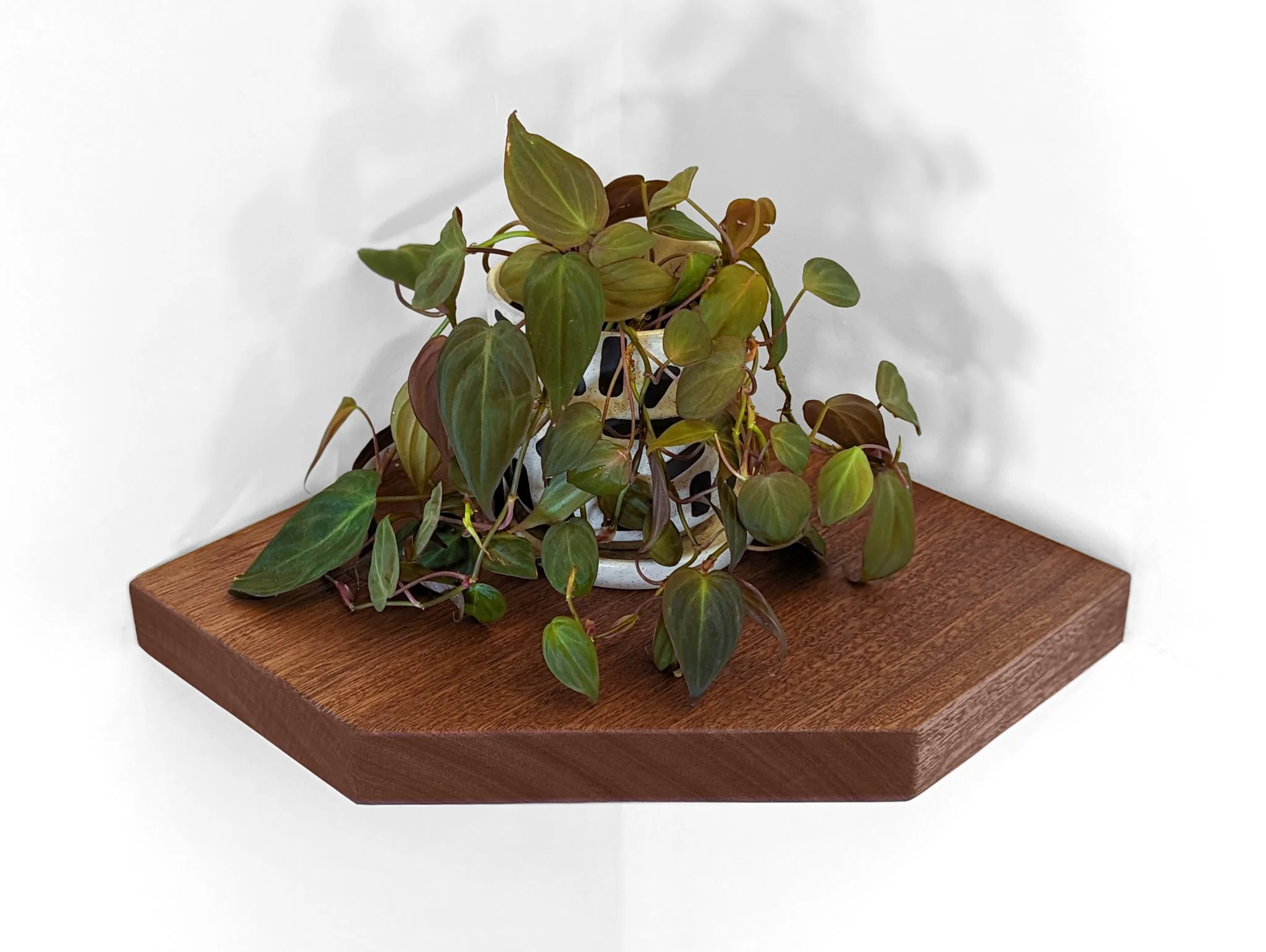 Floating Corner Shelf with Straight Edge in Oak - Image 9