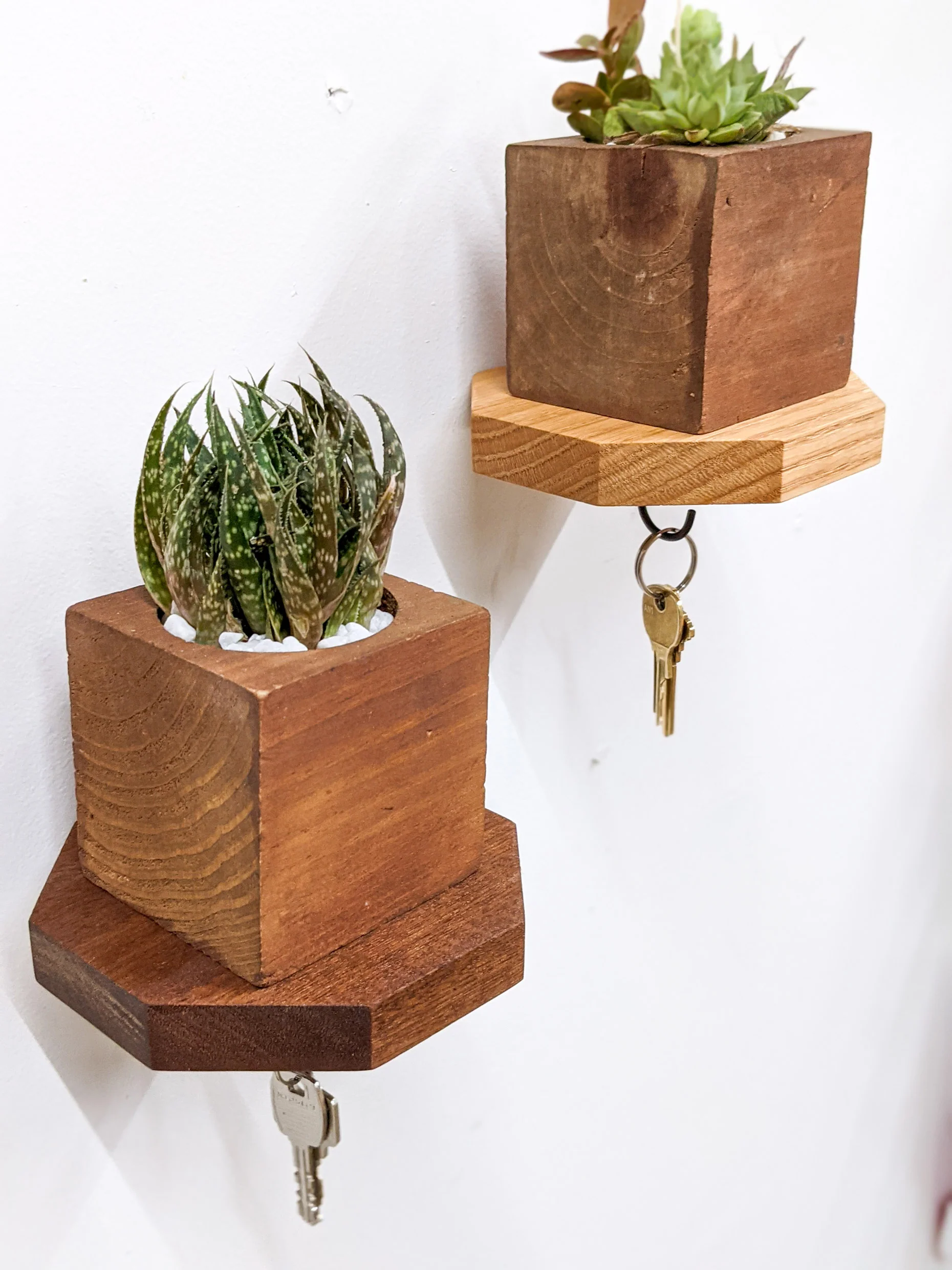 Mahogany Octagon Shelf with Key Hooks - Image 3