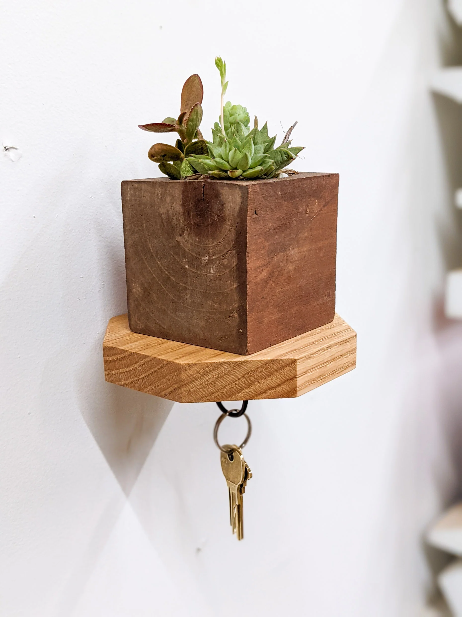 Mahogany Octagon Shelf with Key Hooks - Image 5