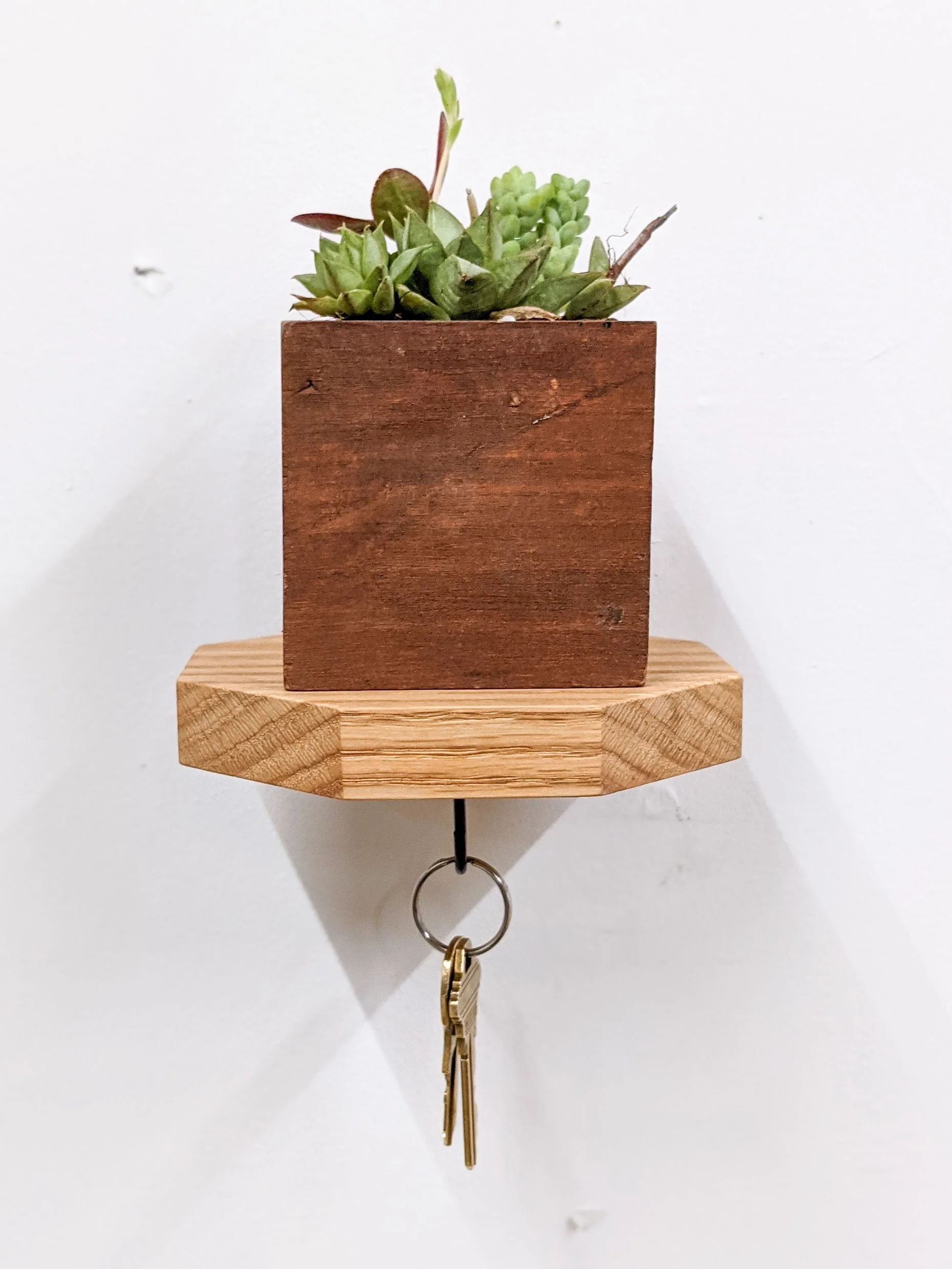 Mahogany Octagon Shelf with Key Hooks - Image 8