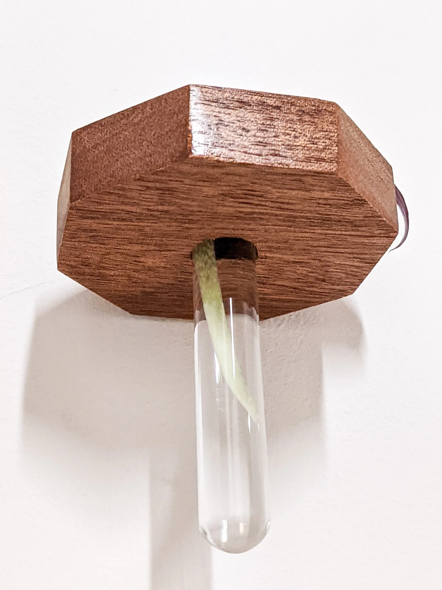 Octagon Propagation Station Shelf for Plant Cuttings - Image 8