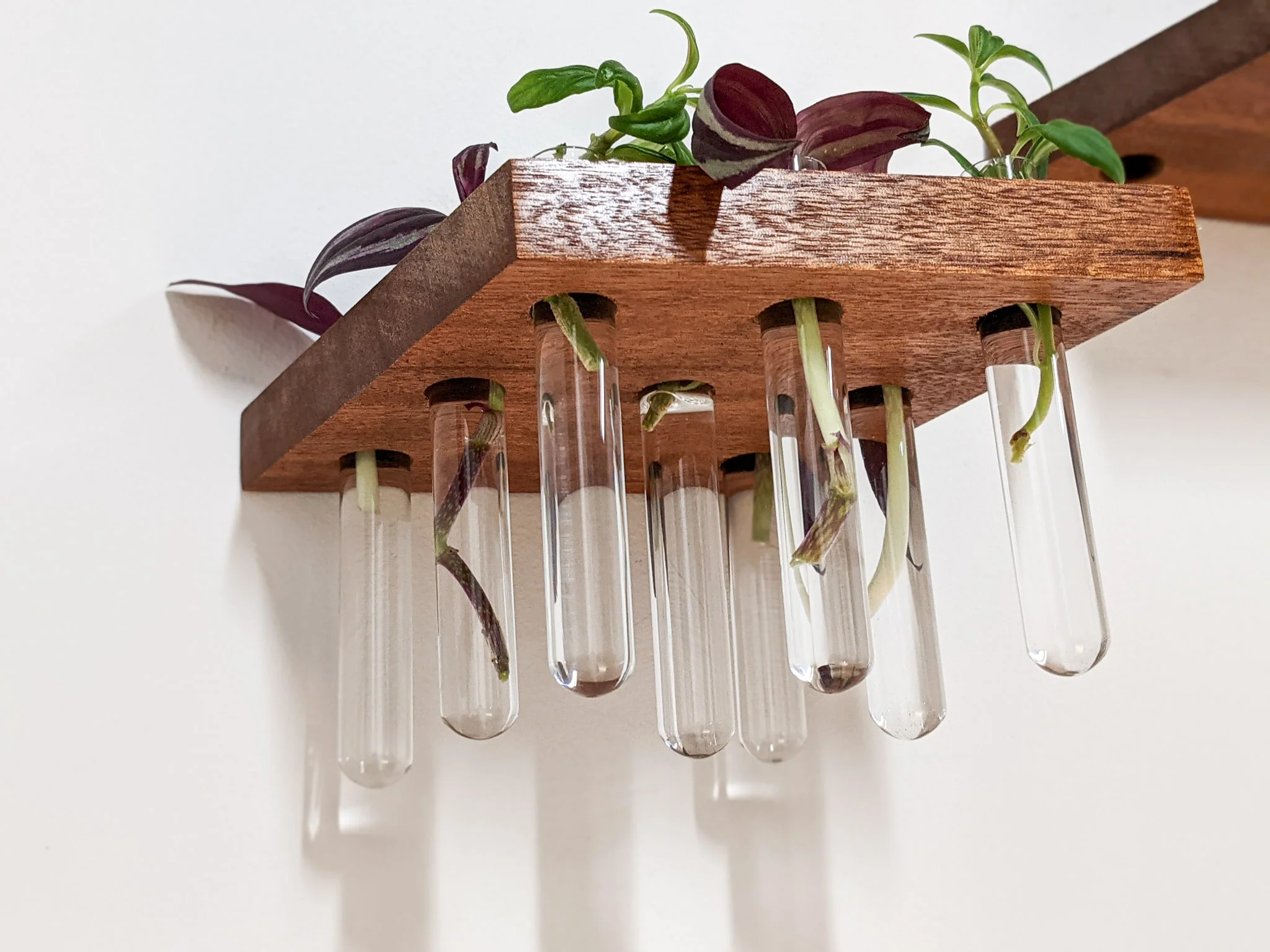Rhombus Propagation Station Shelf for Plant Cuttings - Image 3