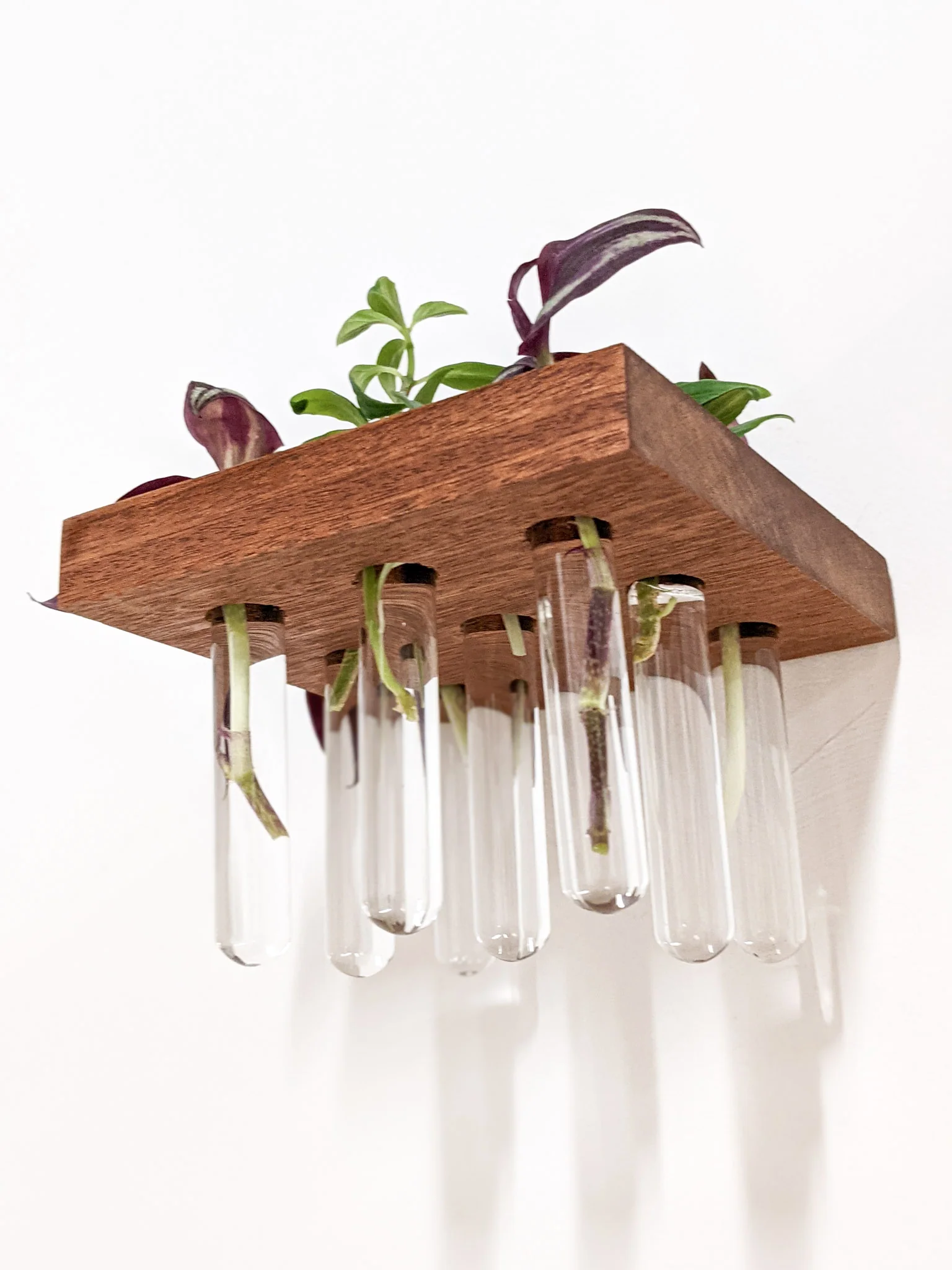 Square Propagation Station Shelf for Plant Cuttings - Image 3