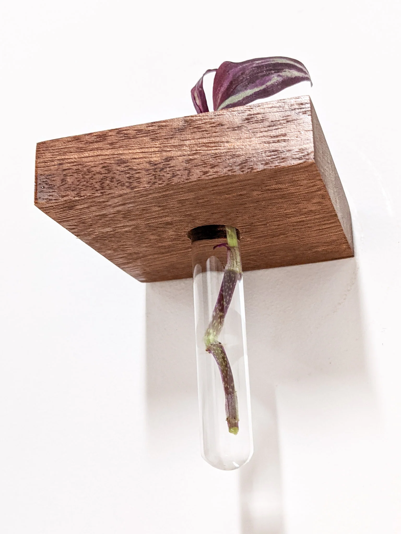 Square Propagation Station Shelf for Plant Cuttings - Image 5