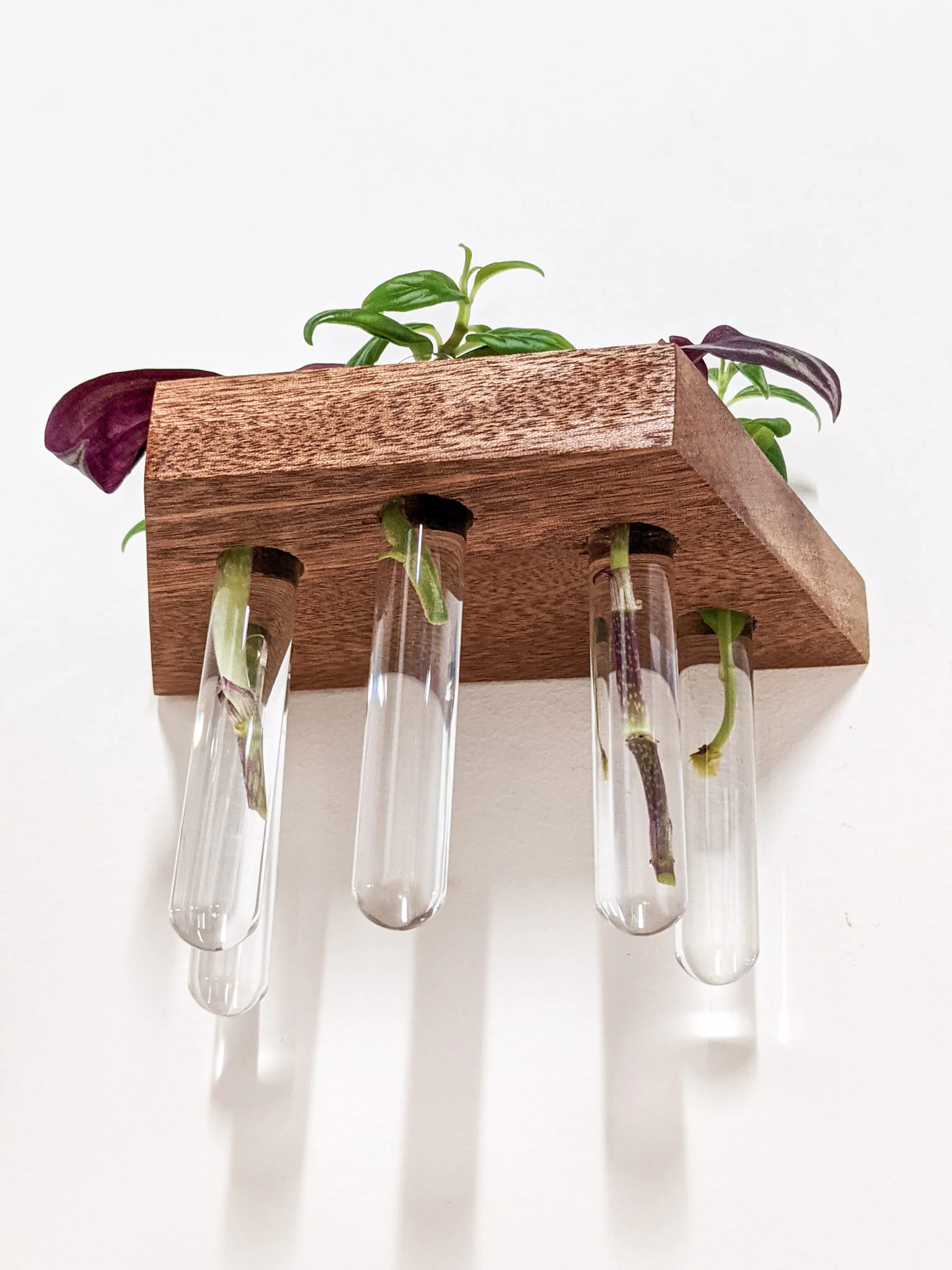 Trapezoid Propagation Station Shelf for Plant Cuttings - Image 3