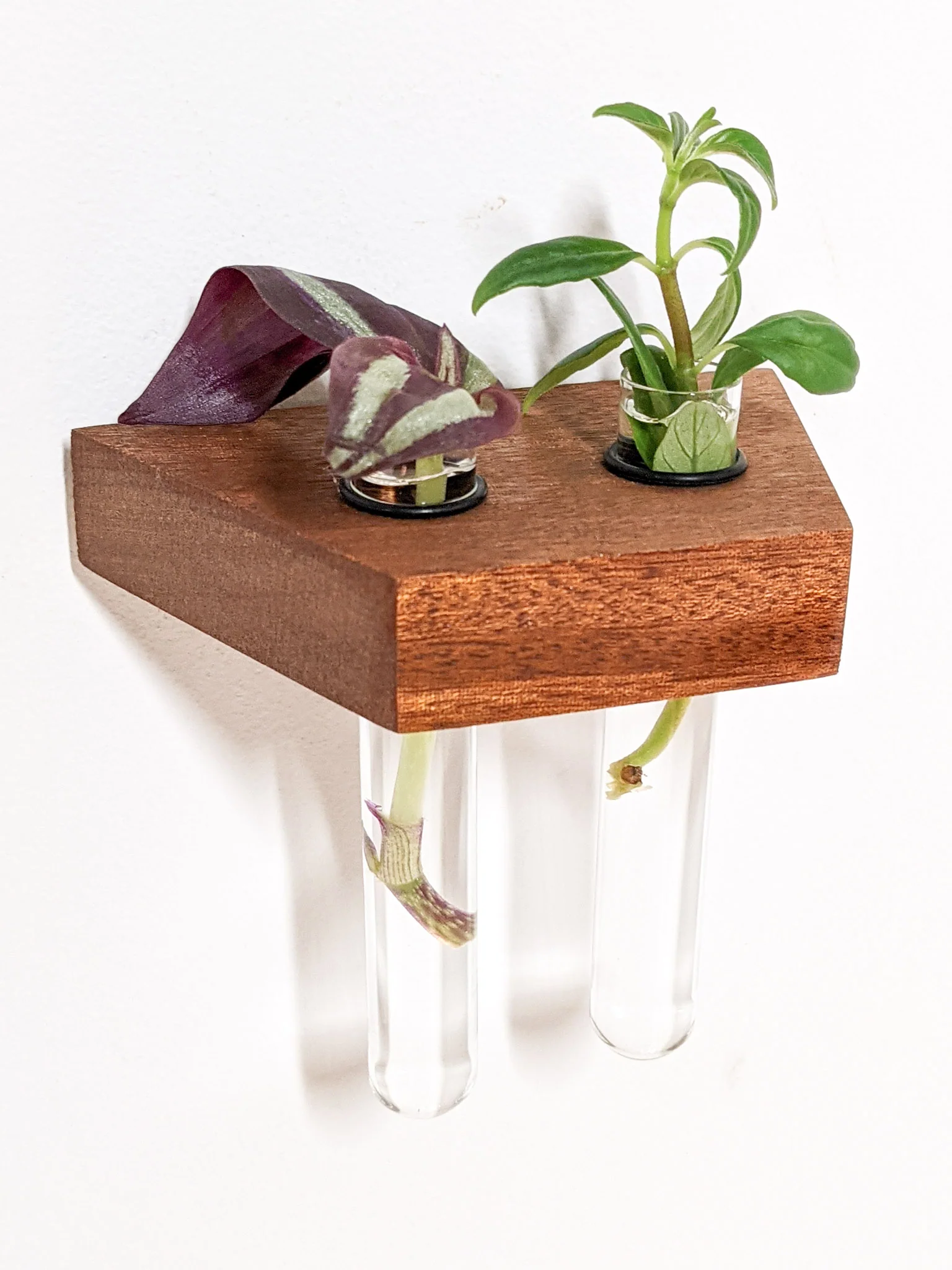 Trapezoid Propagation Station Shelf for Plant Cuttings - Image 6