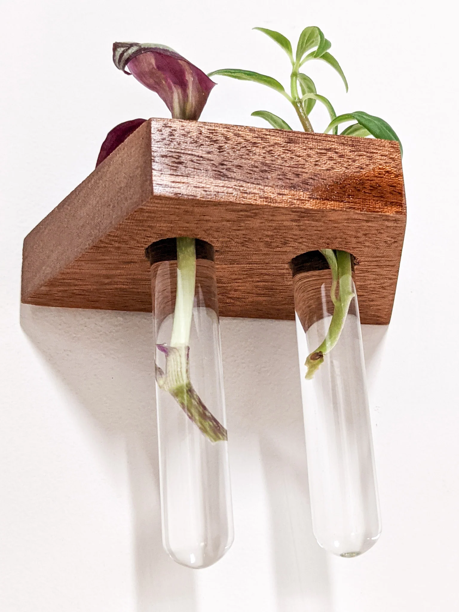 Trapezoid Propagation Station Shelf for Plant Cuttings - Image 7