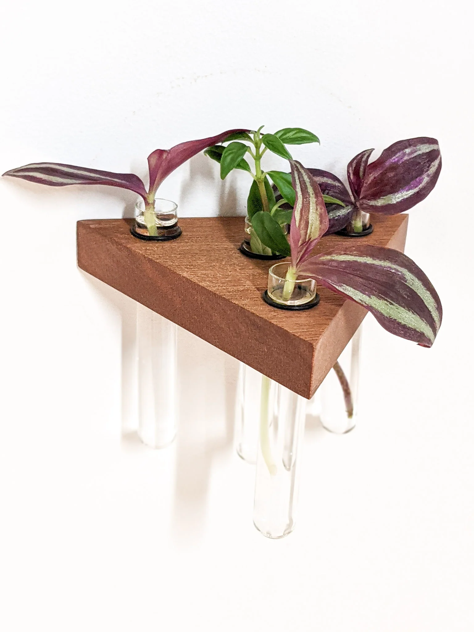 Triangle Propagation Station Shelf for Plant Cuttings - Image 3