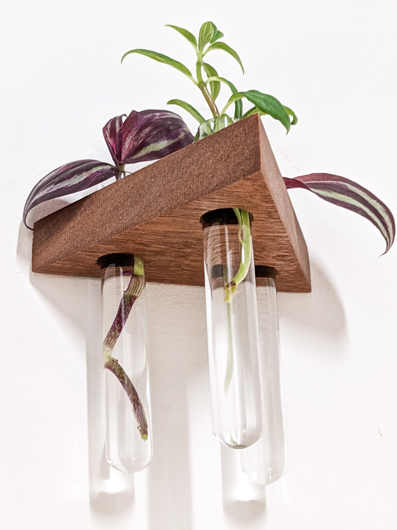 Triangle Propagation Station Shelf for Plant Cuttings - Image 4