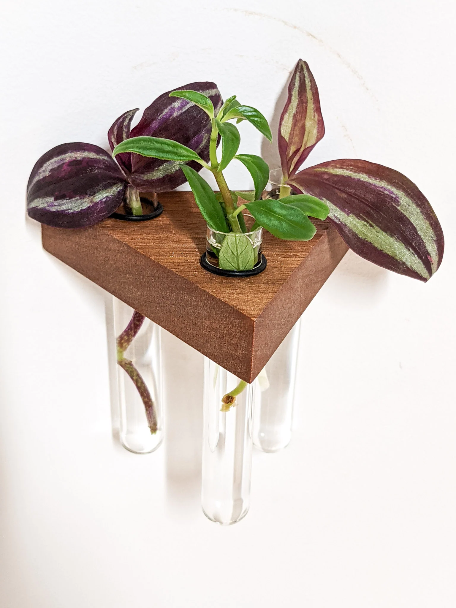 Triangle Propagation Station Shelf for Plant Cuttings - Image 5