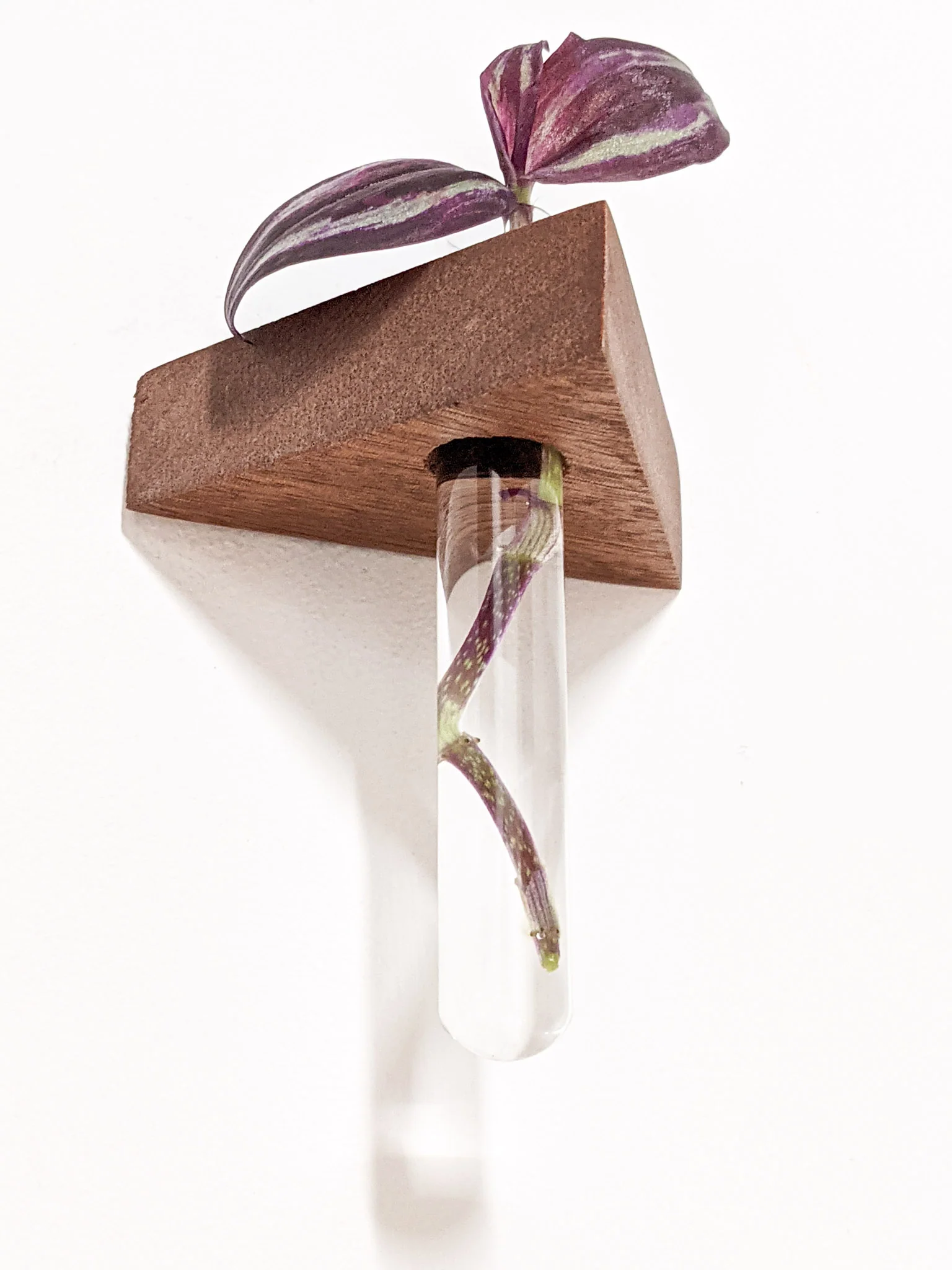 Triangle Propagation Station Shelf for Plant Cuttings - Image 6