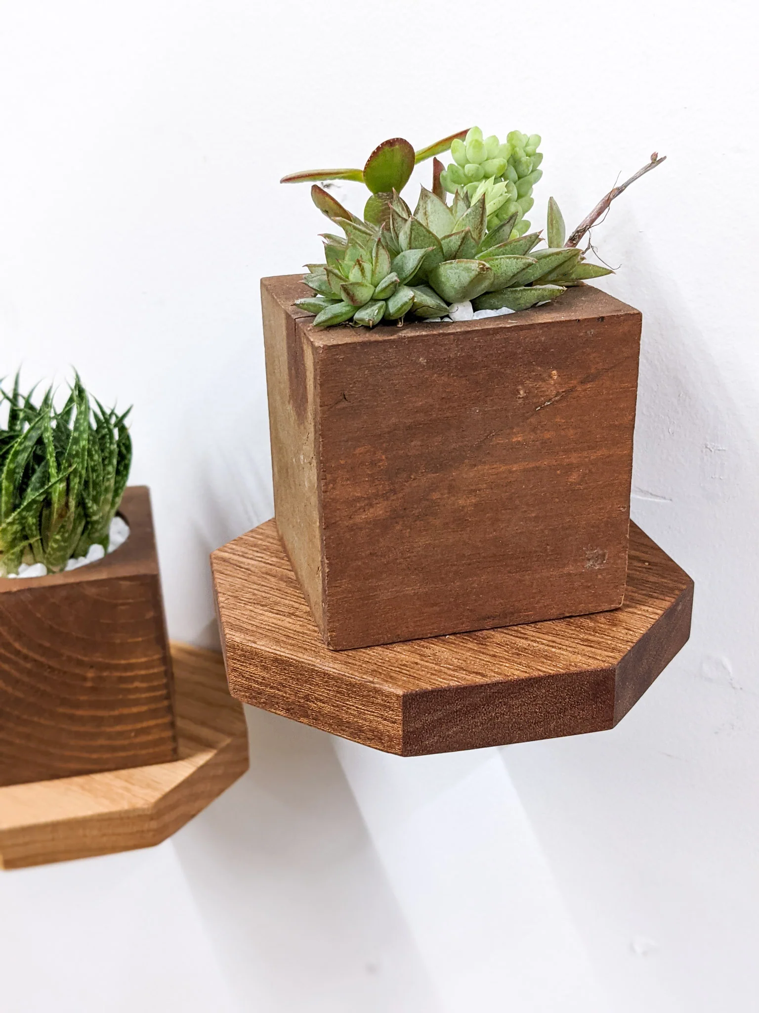 Small Octagon Display Shelf in Mahogany - Image 3