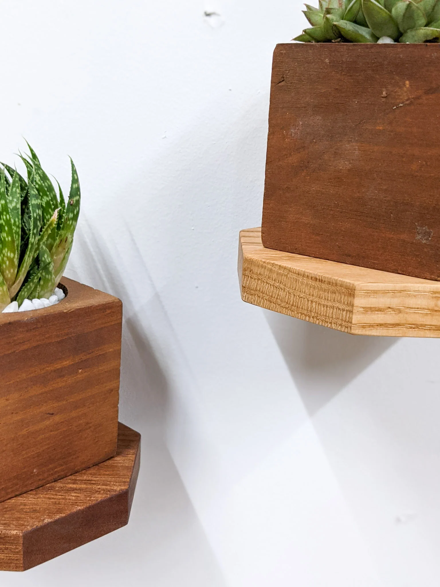 Small Octagon Display Shelf in Oak - Image 4