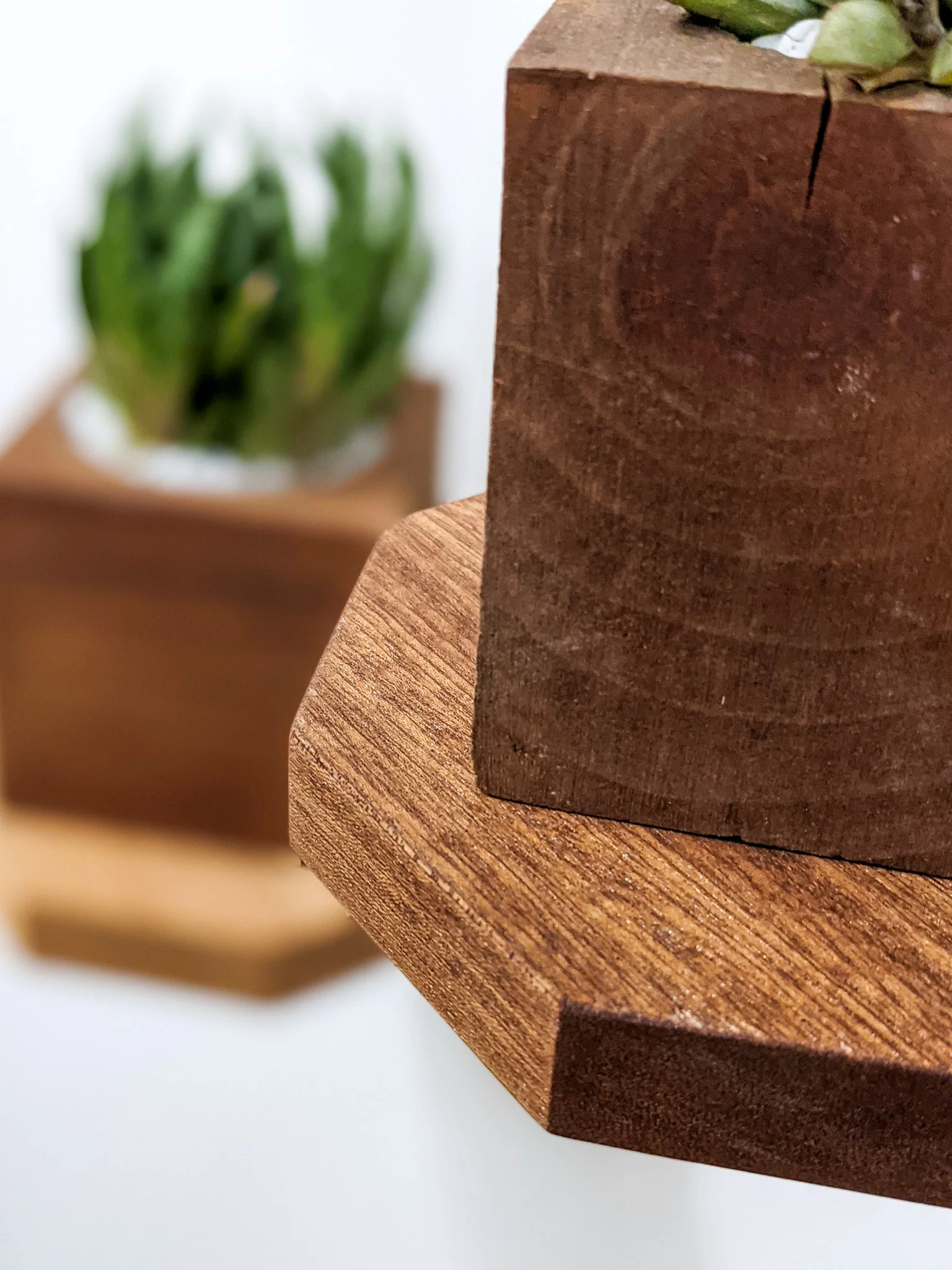 Small Octagon Display Shelf in Oak - Image 6