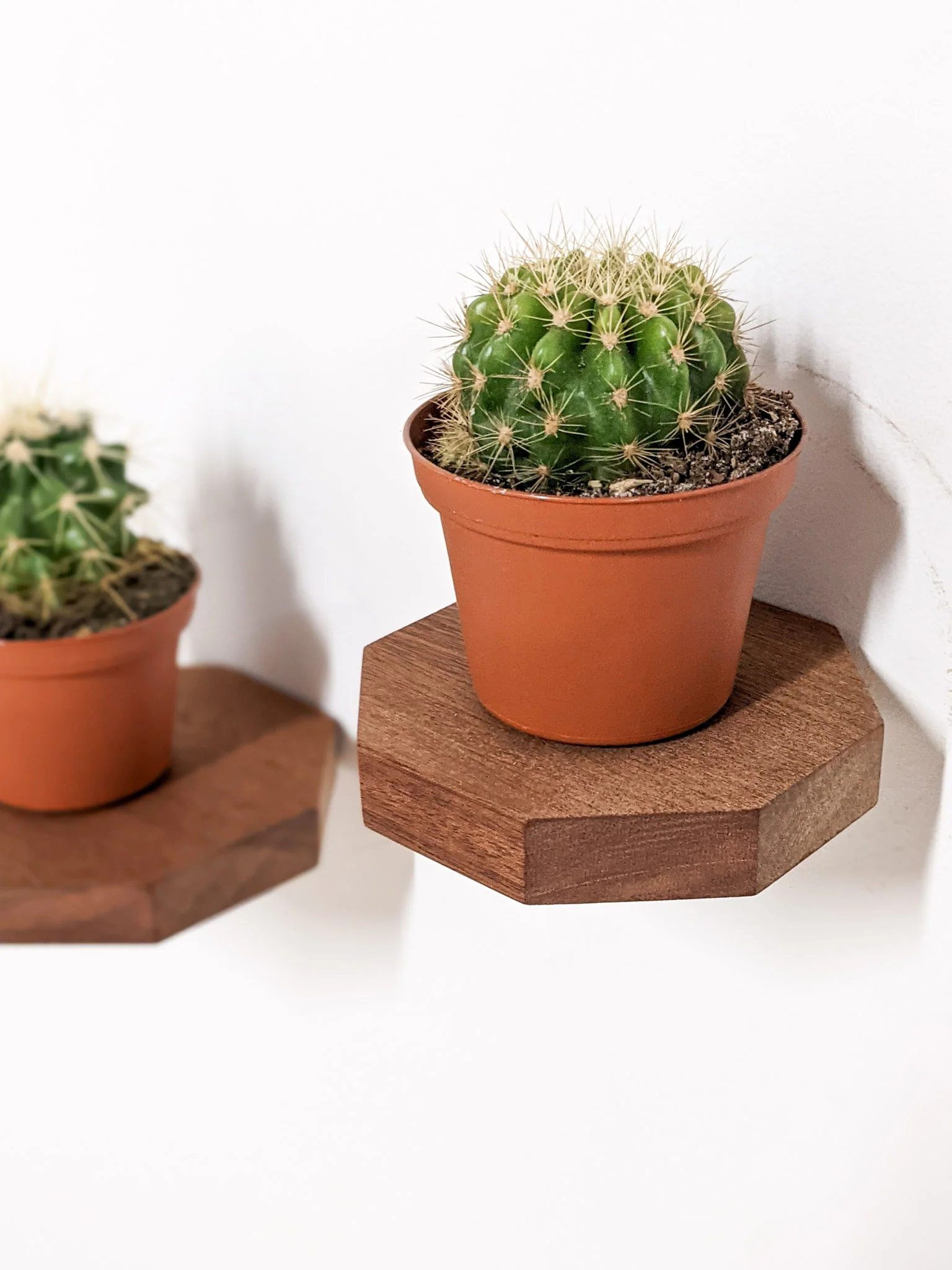 Small Octagon Display Shelf in Oak - Image 7