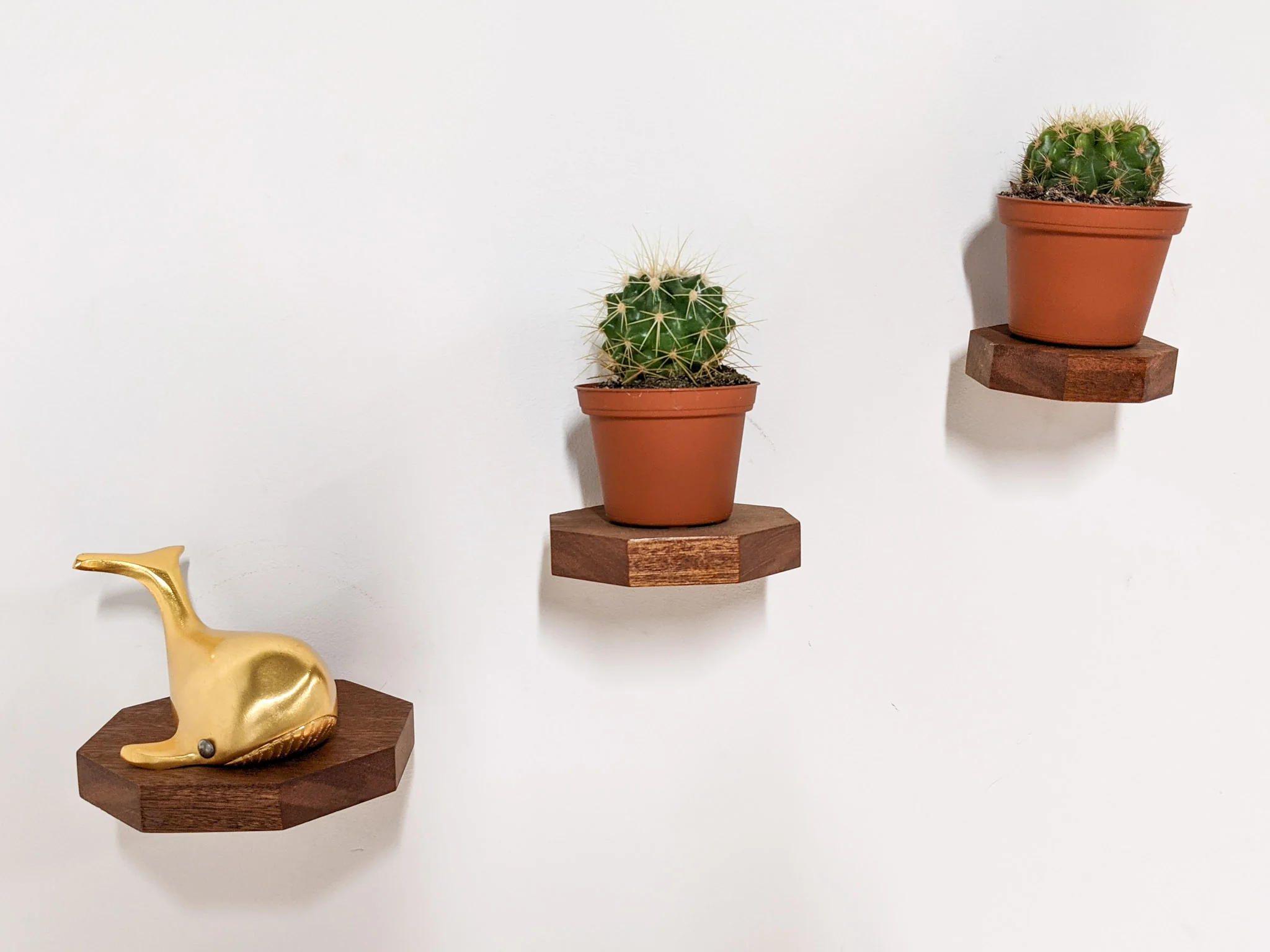 Small Octagon Display Shelf in Oak - Image 9