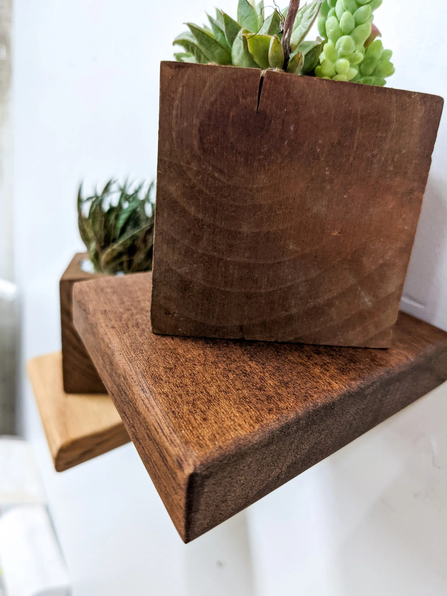 Small Rhombus Display Shelf in Mahogany - Image 3