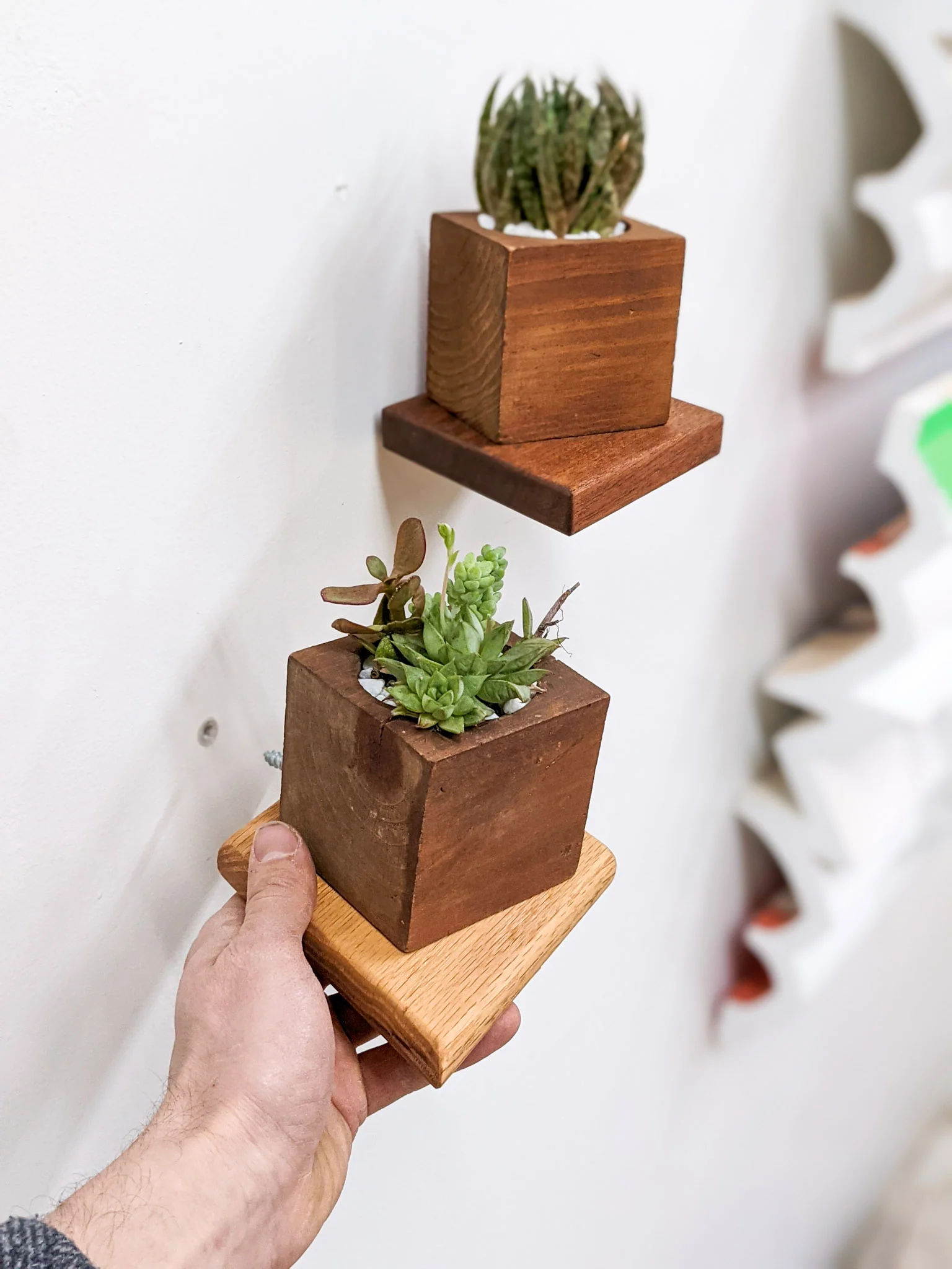 Small Rhombus Display Shelf in Mahogany - Image 5