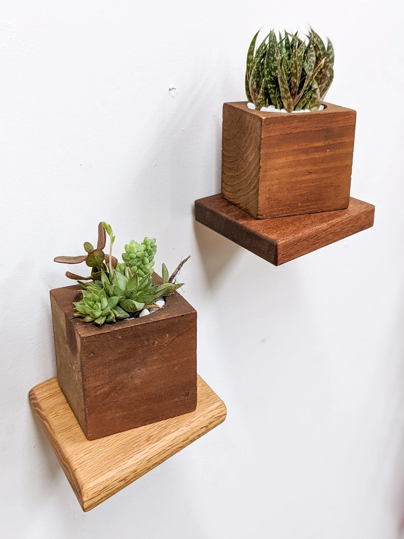 Small Rhombus Display Shelf in Mahogany - Image 6