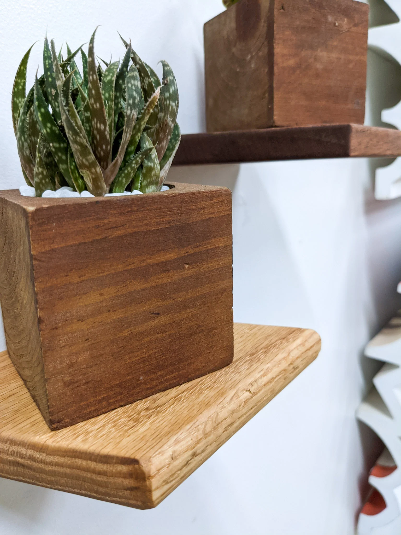 Small Rhombus Display Shelf in Oak - Image 3