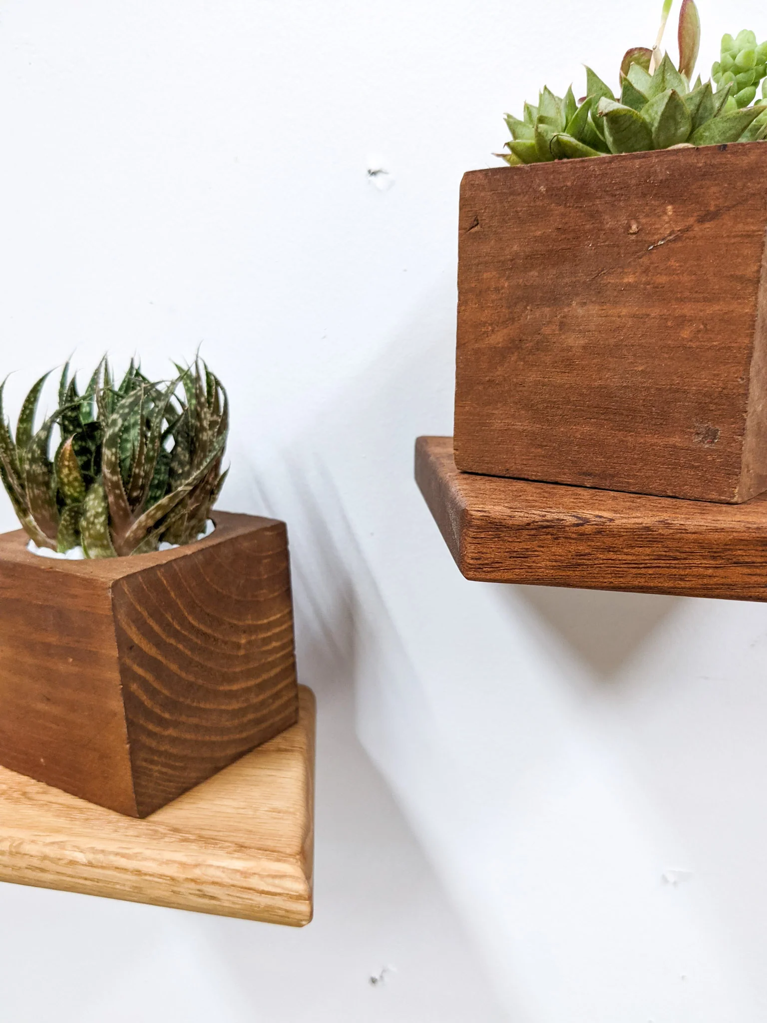 Small Rhombus Display Shelf in Oak - Image 4