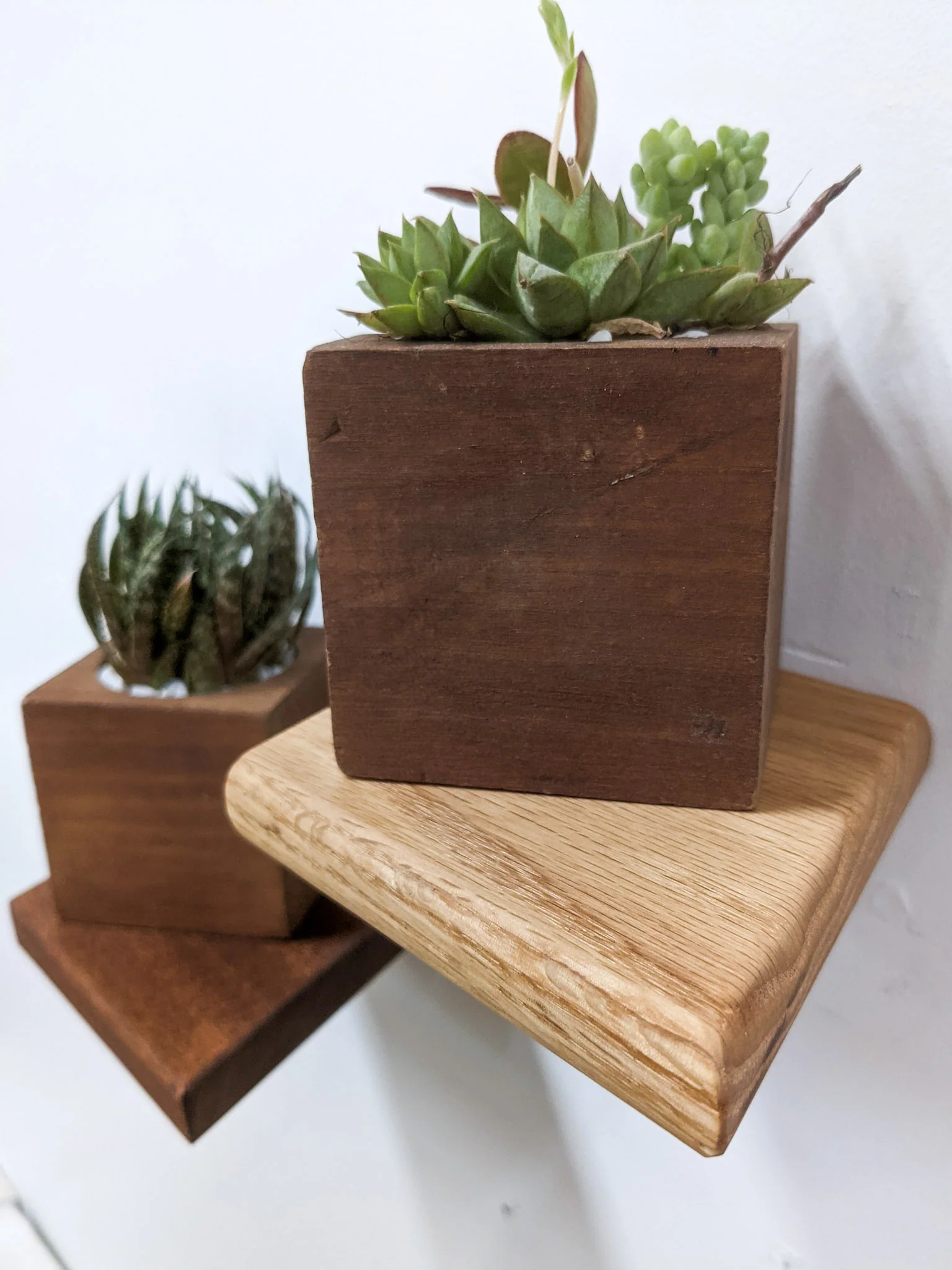 Small Rhombus Display Shelf in Oak - Image 5