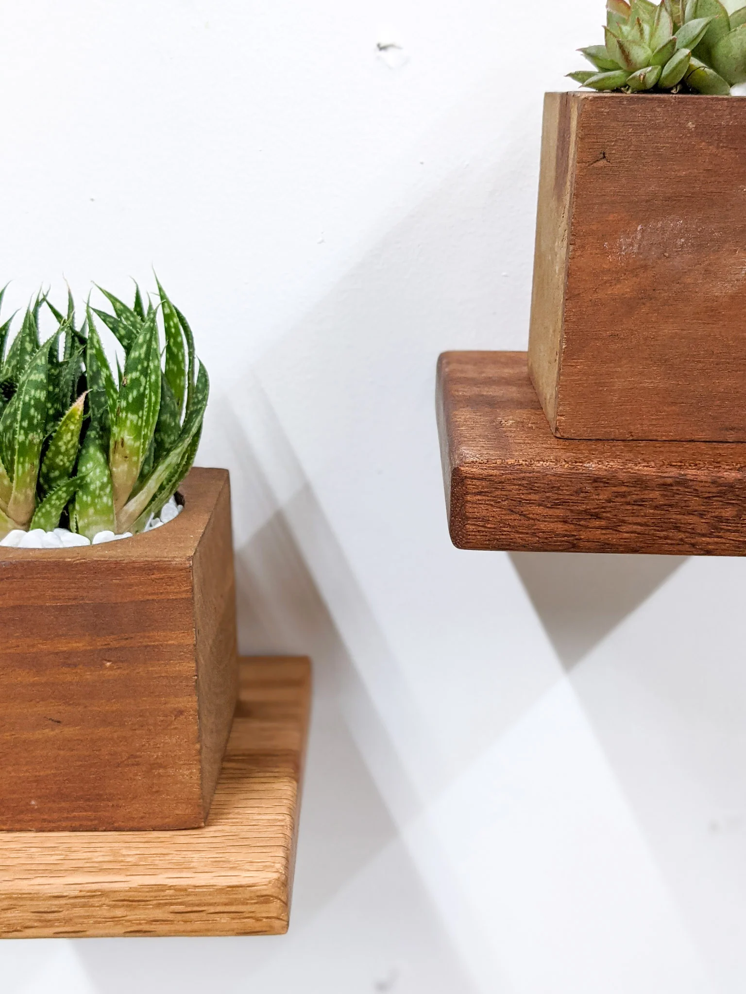 Small Square Display Shelf in Mahogany - Image 5