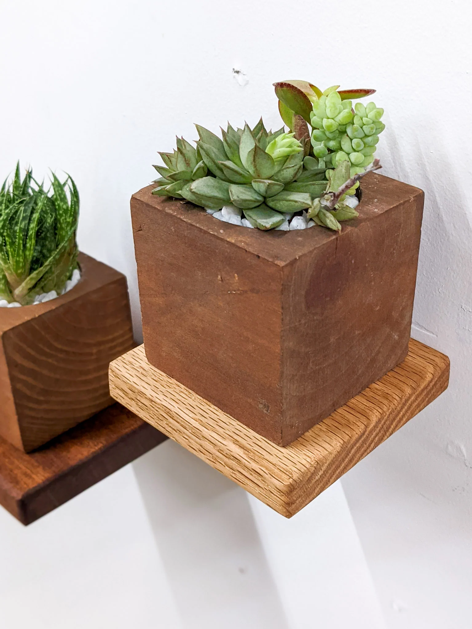 Small Square Display Shelf in Mahogany - Image 6
