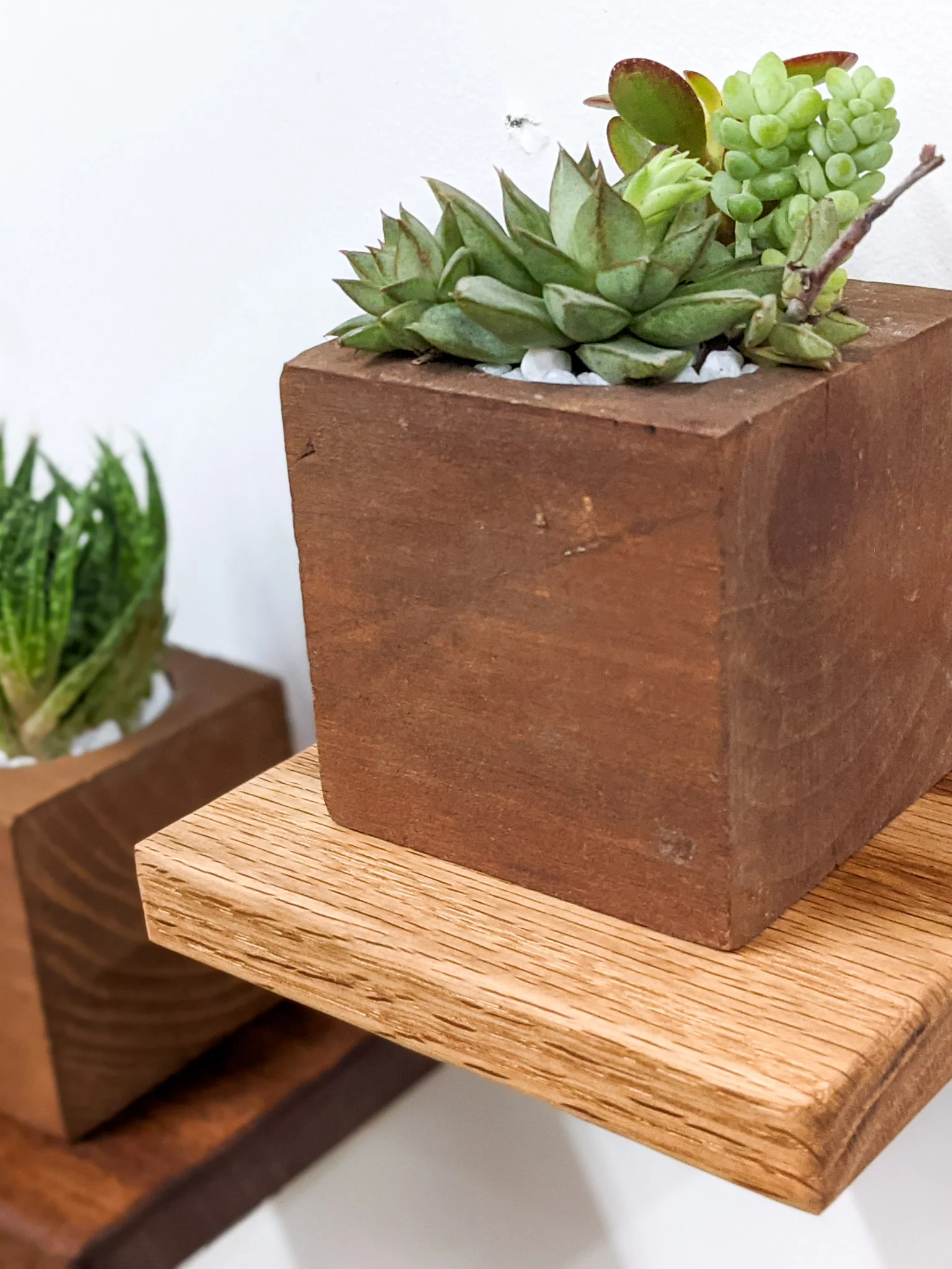Small Square Display Shelf in Oak - Image 3