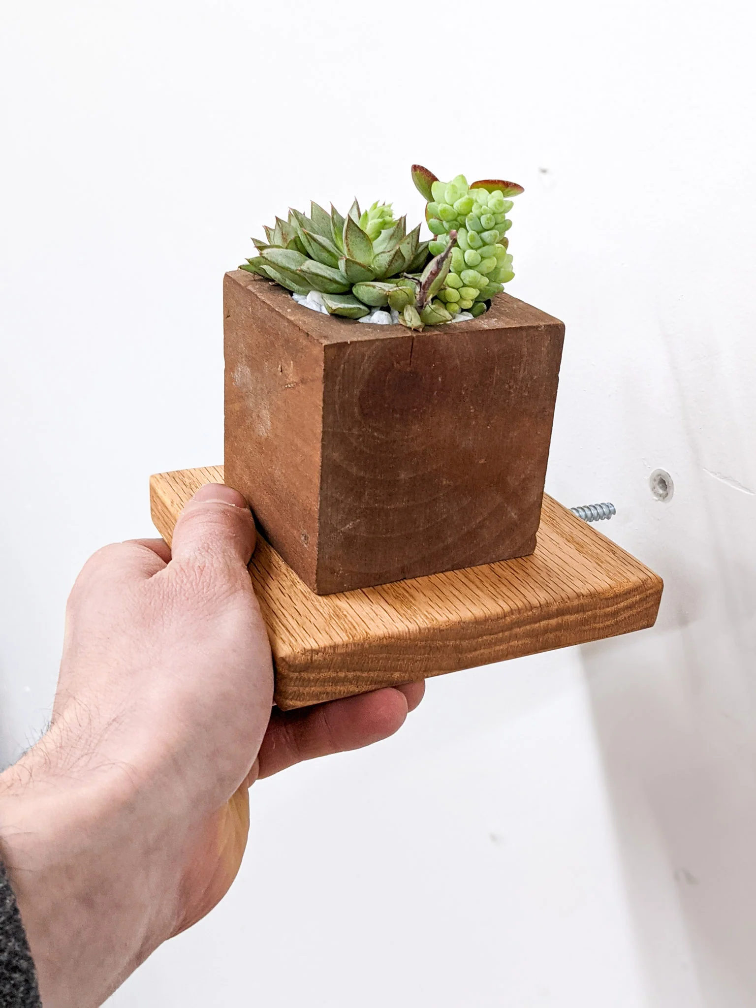 Small Square Display Shelf in Oak - Image 5