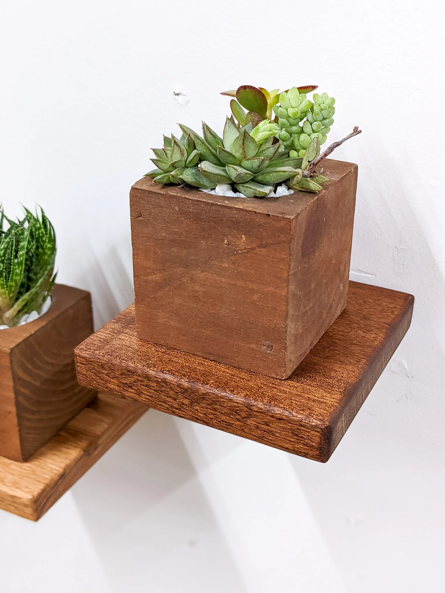 Small Square Display Shelf in Oak - Image 7