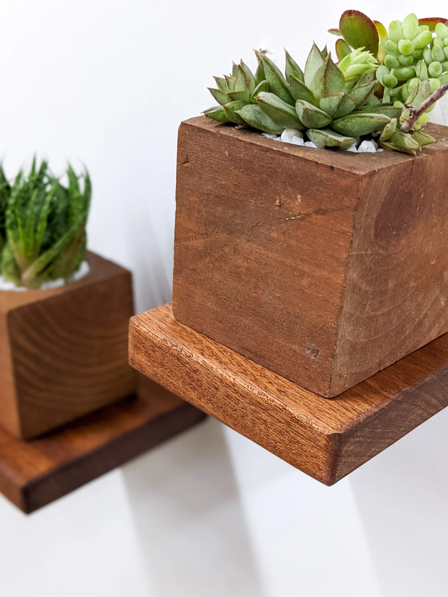 Small Square Display Shelf in Oak - Image 9