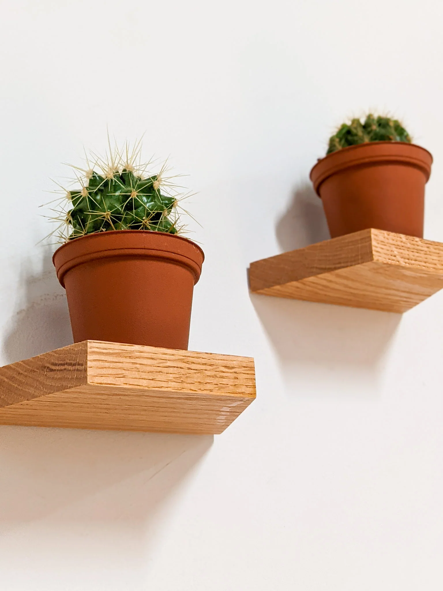 Small Trapezoid Display Shelf in Mahogany - Image 7