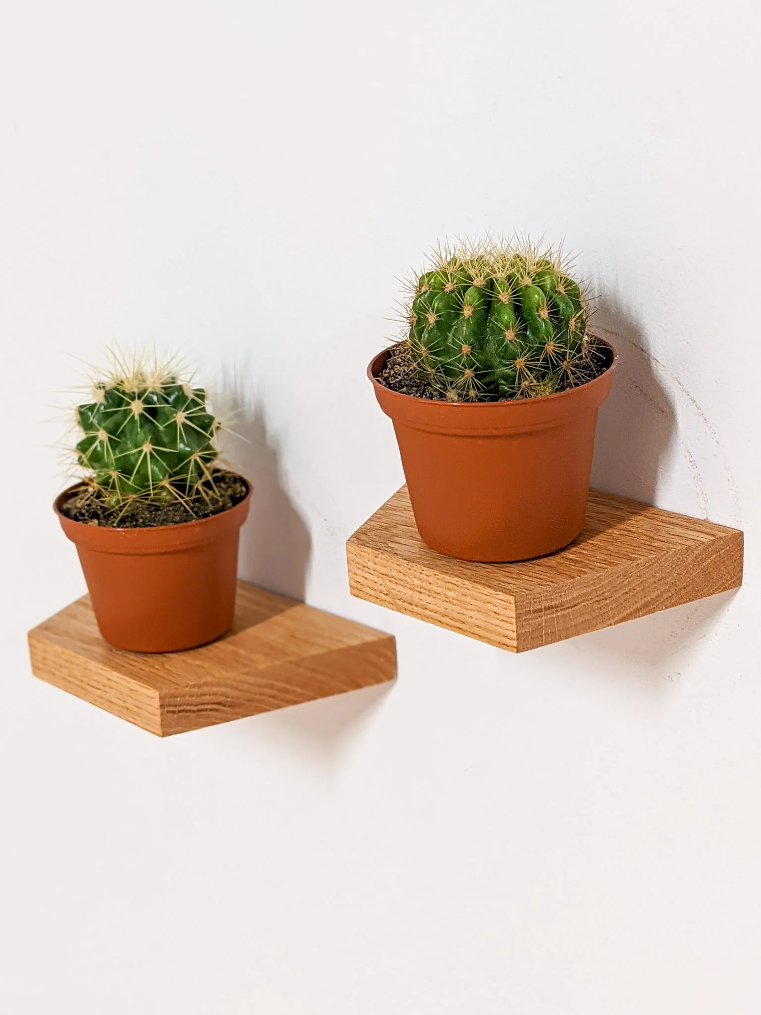 Small Trapezoid Display Shelf in Oak - Image 2