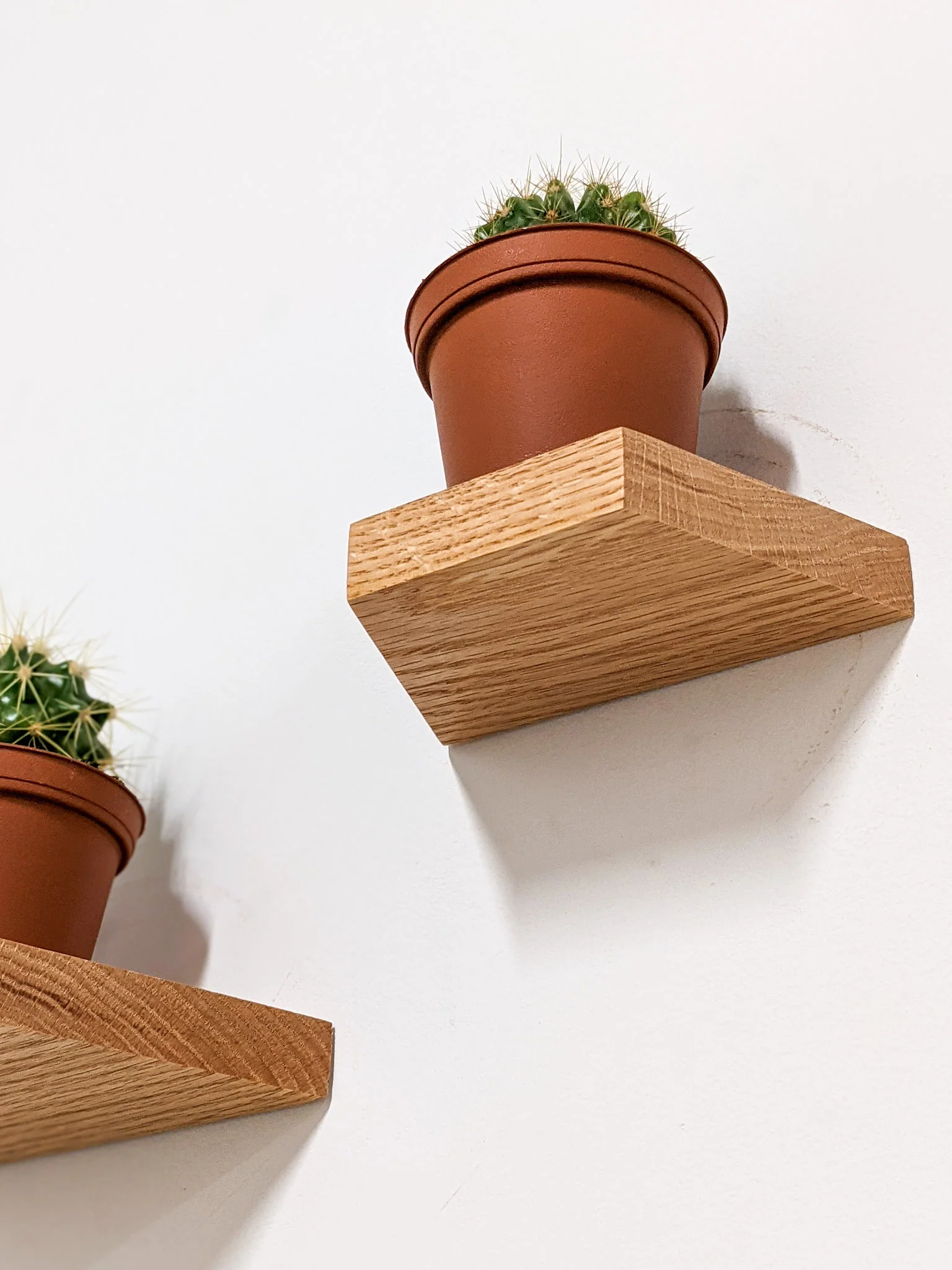 Small Trapezoid Display Shelf in Oak - Image 3