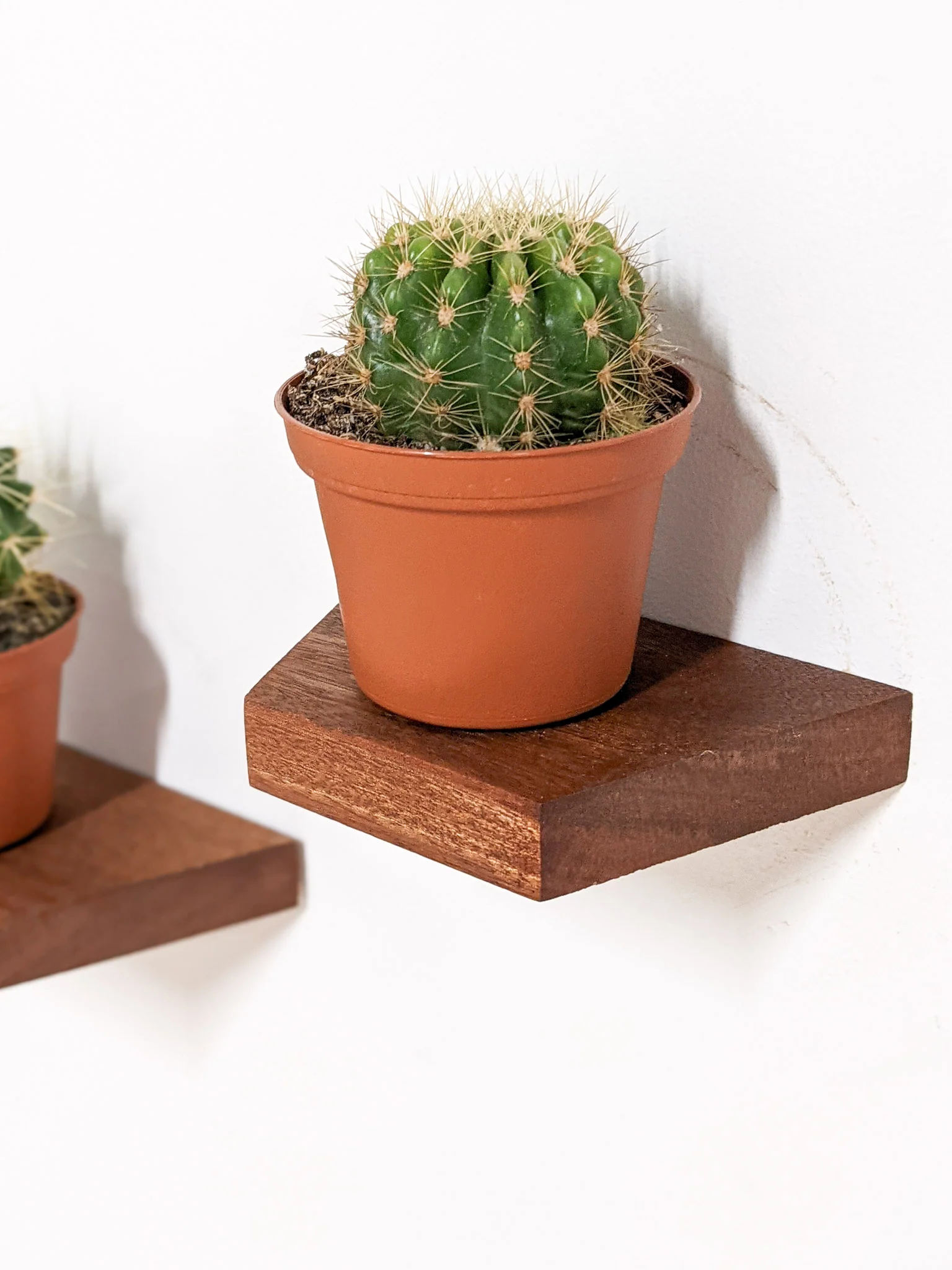 Small Trapezoid Display Shelf in Oak - Image 6