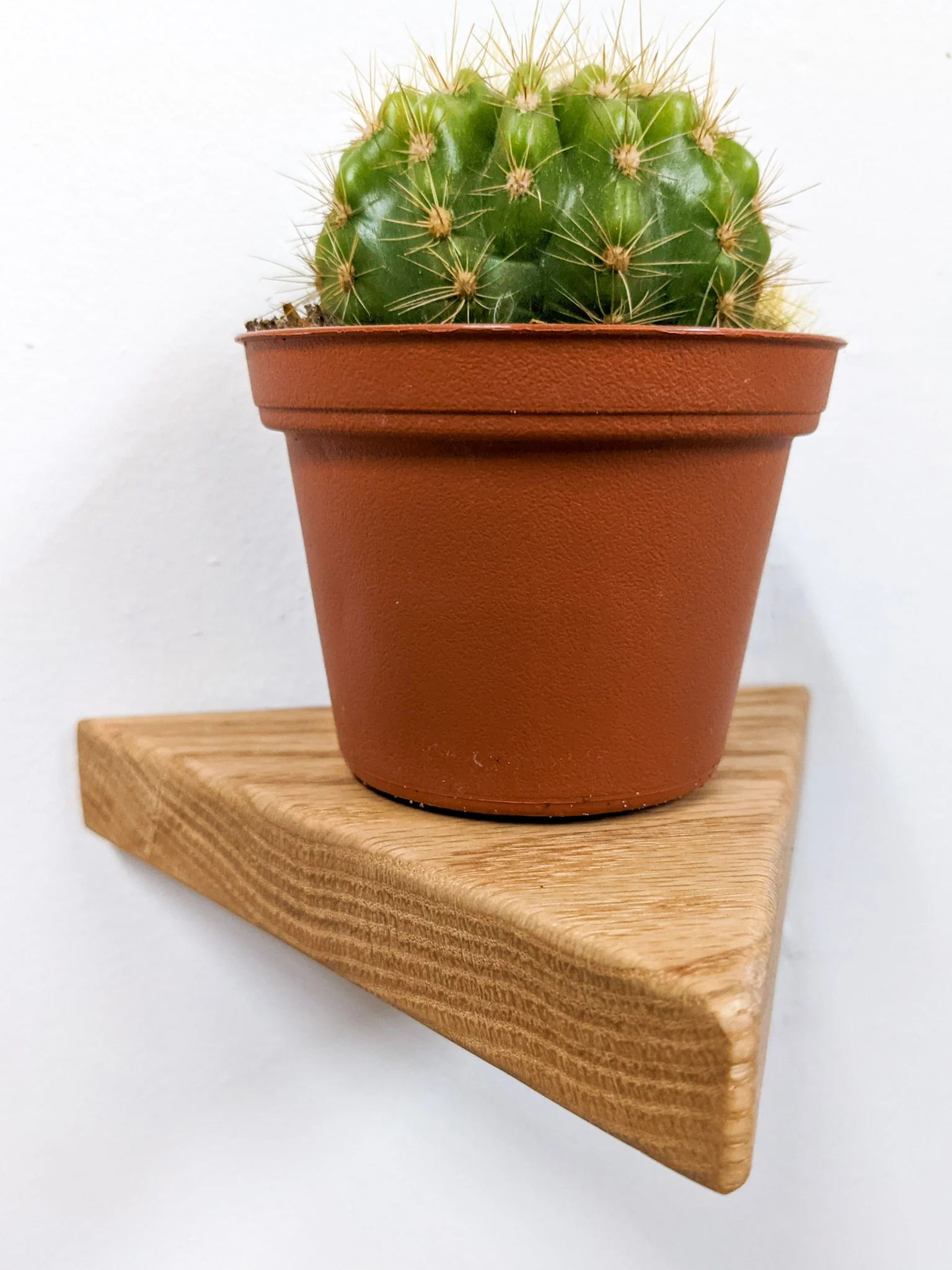 Small Triangle Display Shelf in Oak - Image 3