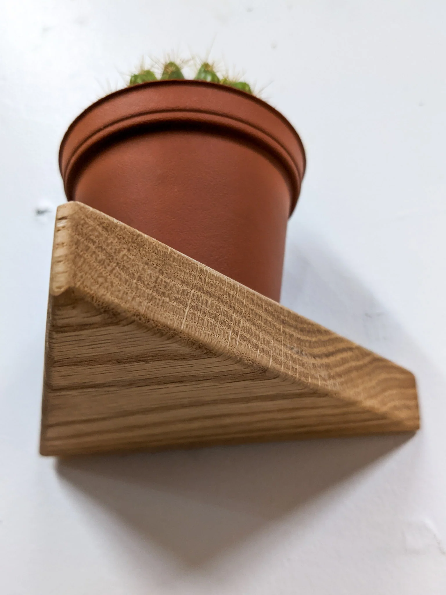 Small Triangle Display Shelf in Oak - Image 4