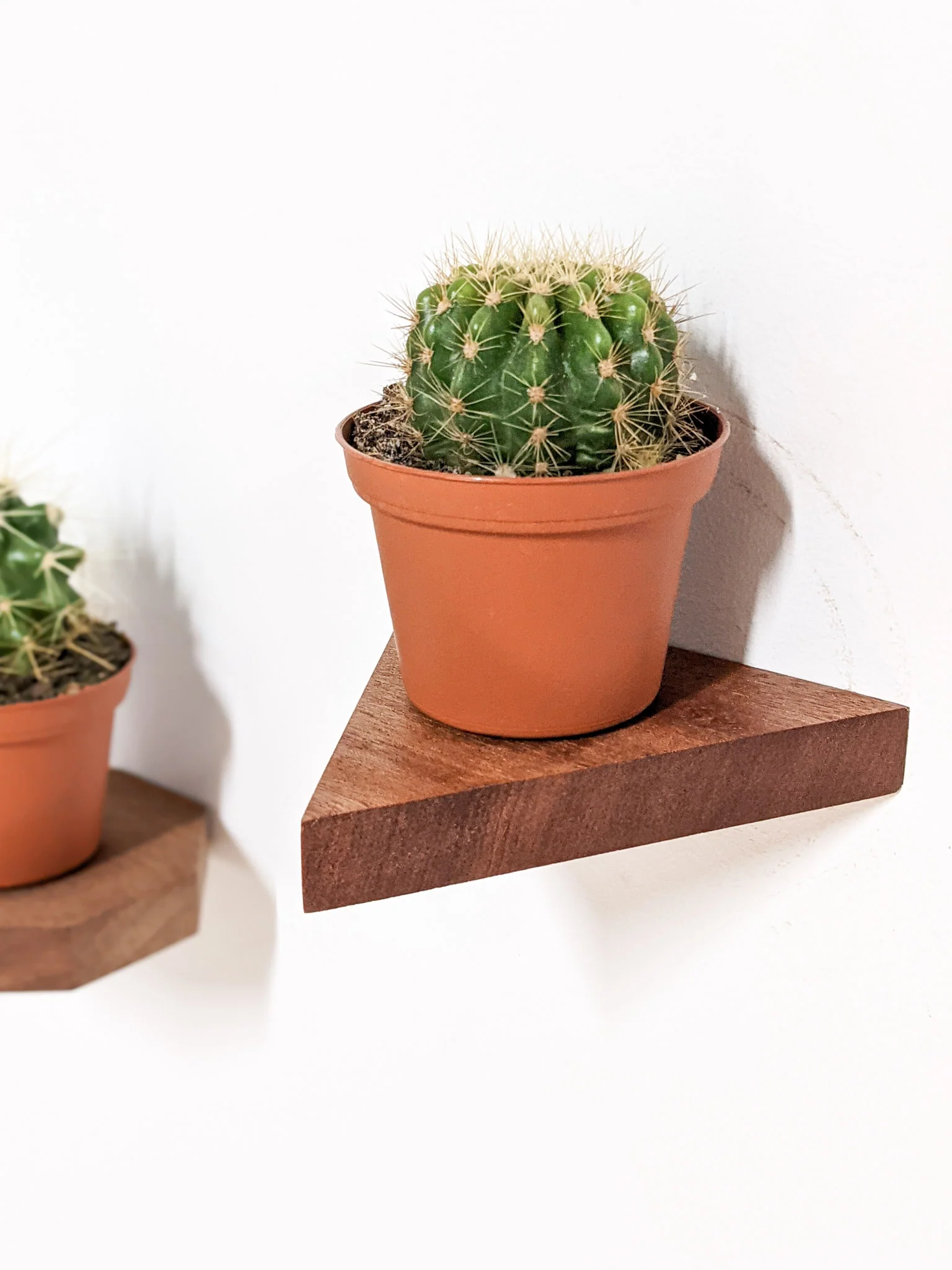Small Triangle Display Shelf in Oak - Image 6